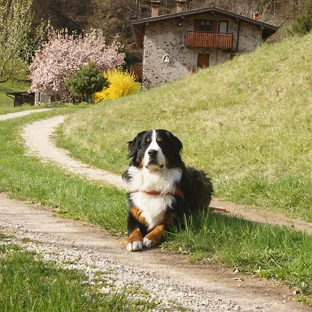 Апартаменты Casa Fontagusta - Nature Hideaway & Digital Detox - Idro & Piccoli Dolomiti
